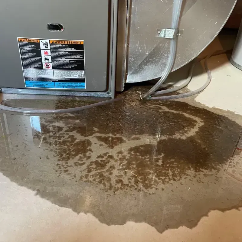 Appliance Leak Cleanup in Warrenton, NC